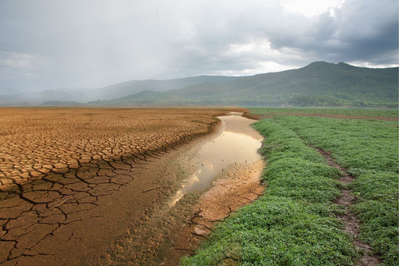 La influencia de la crisis climática en la seguridad alimentaria de Honduras