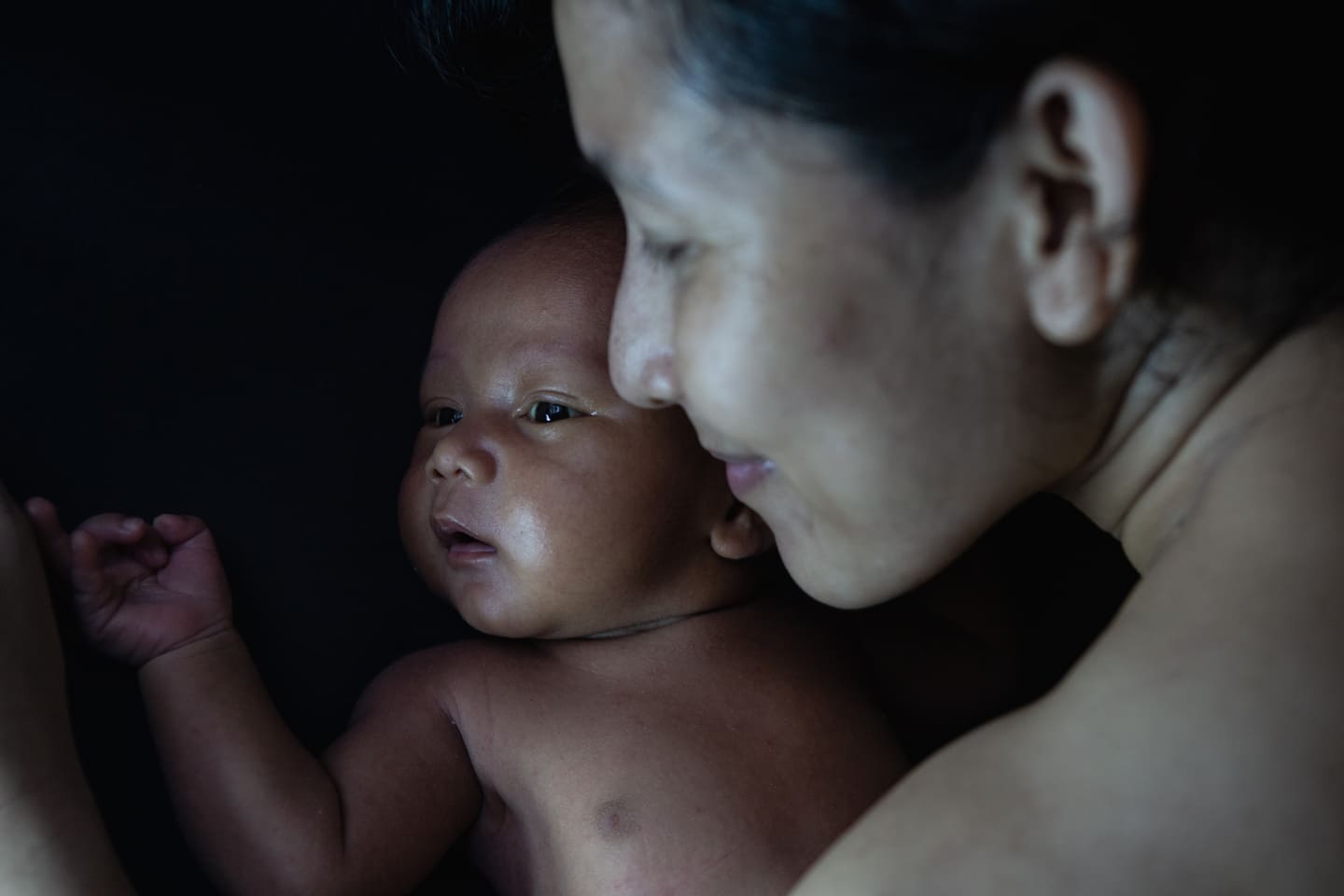 Transferencia de embriones y embarazo múltiple en subrogación: guía para personas de Jacksonville (Florida)