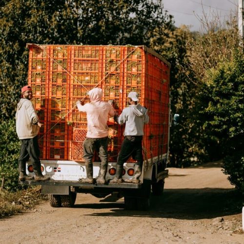 Entrega omnicanal en Brasil: beneficios para tu logística y crecimiento en ventas