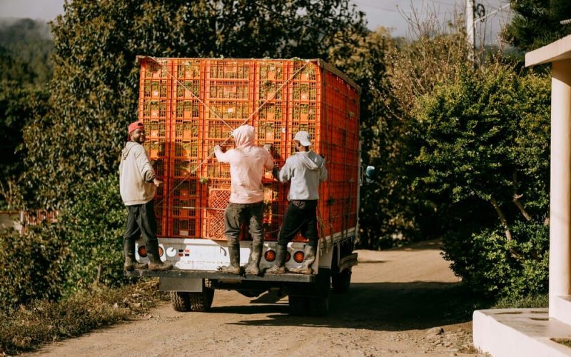 Entrega omnicanal en Brasil: beneficios para tu logística y crecimiento en ventas Entrega omnicanal en Brasil: beneficios para tu logística y crecimiento en ventas